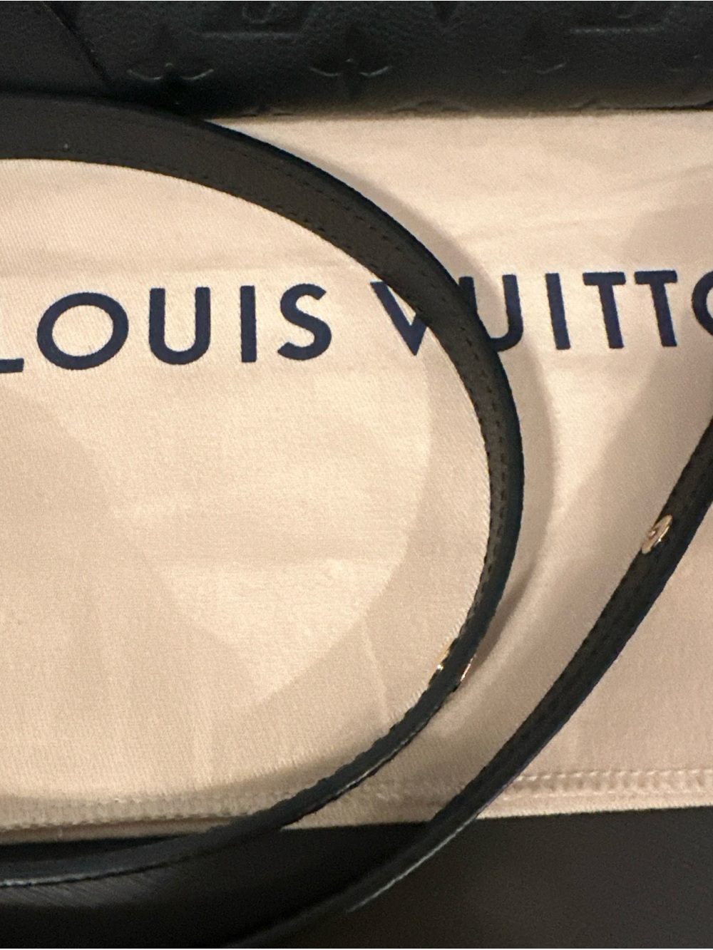 Louis Vuitton Black Empriente Boulonge PM Handbag - Picture 13 of 13